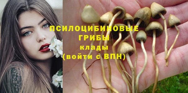бошки Дмитров
