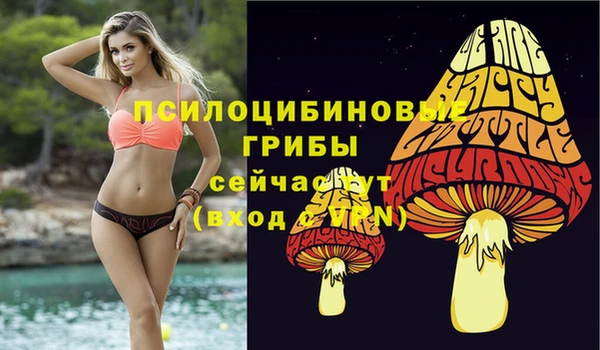 бошки Дмитров