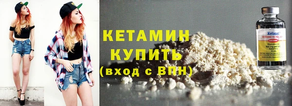 шишки Осинники
