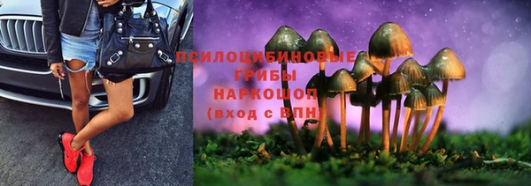 mdma Дмитровск