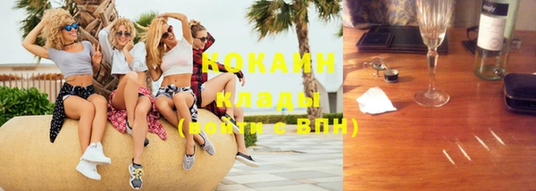 бошки Дмитров