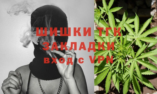 бошки Дмитров