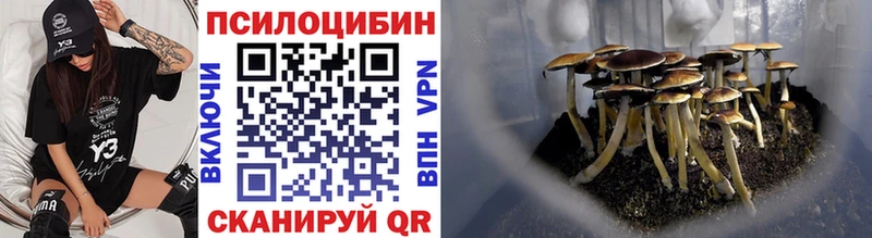 blacksprut ССЫЛКА  Пущино  Псилоцибиновые грибы ЛСД  купить наркоту 